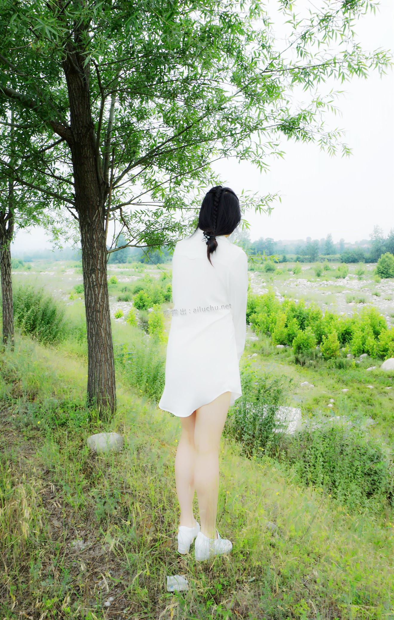 DSC03504_.jpg