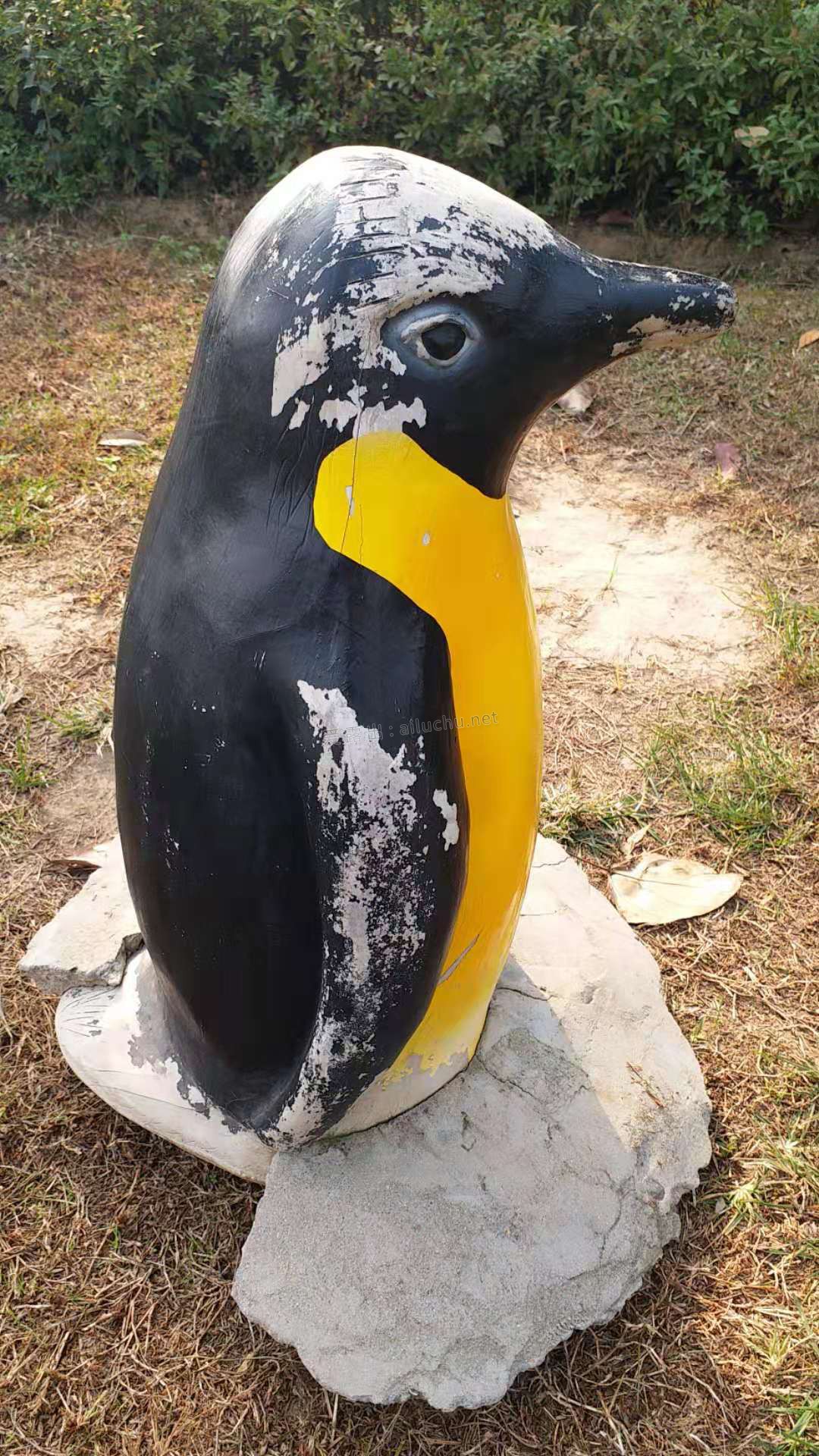 2.jpg