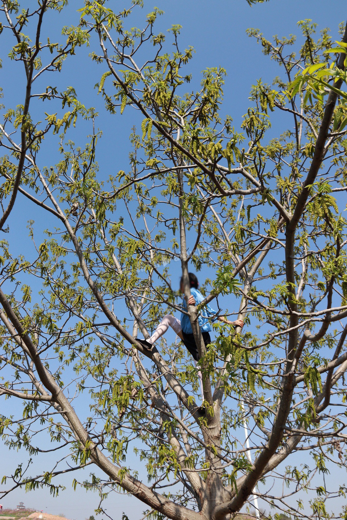 IMG_6899.jpg