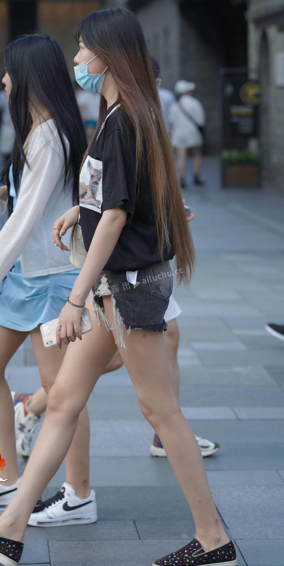 sei000.jpg