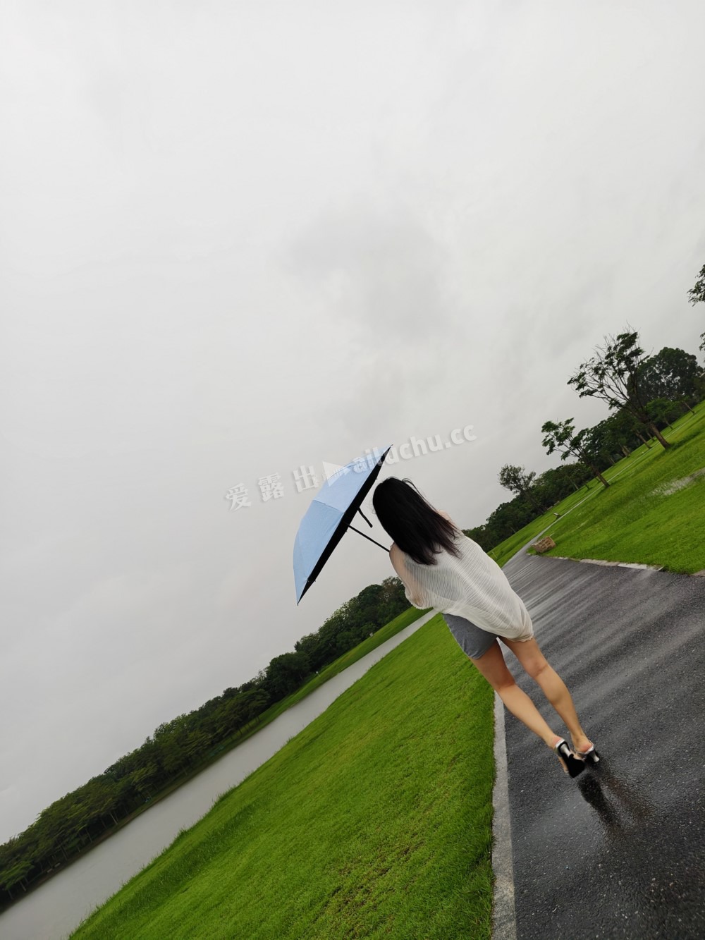 070306mz2qcpwt2hq0a252.jpg